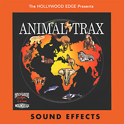 Sunday Sound Effects Round Up - A Sound Effect, Soundly, Wildtrack Sound  Library, Hiss And A Roar